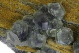 Purple-Green Cuboctahedral Fluorite on Sparkling Quartz - China #173034-1